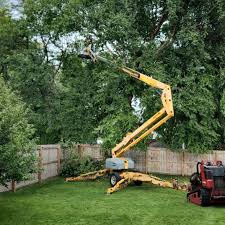 Gruver, TX  Tree Services Company